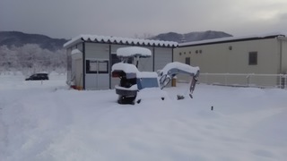 line_1516663337877.jpg